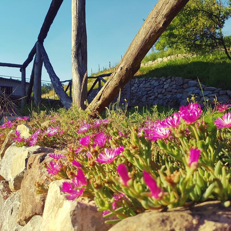 La Peschiera Sul Vara B&B Sesta Godano 외부 사진